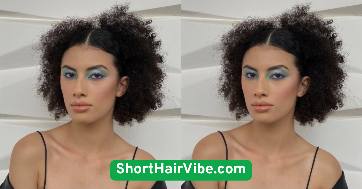 High Puff (For Curly or Coily Hair)